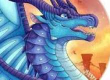 Quiz Image