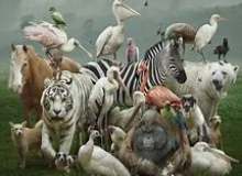 Quiz Image