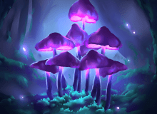 Quiz Image