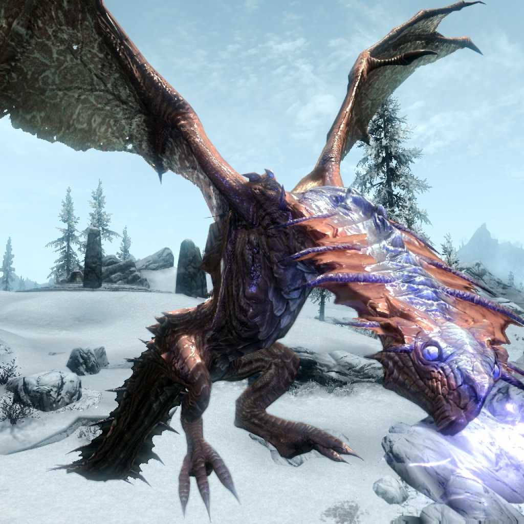 Скайрим драконы. Благородный дракон Skyrim. Виверна скайрим. Скайрим Насларум. Виверна дракон скайрим.