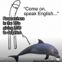 Quiz Image
