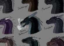 Quiz Image