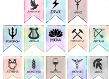 Quiz Image