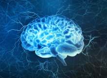 Quiz Image