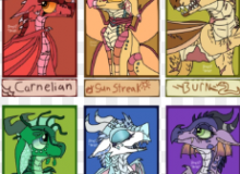 Quiz Image