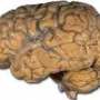 Quiz Image