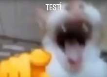 Quiz Image