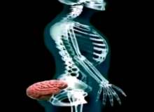 Quiz Image