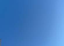 Quiz Image