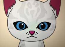 Quiz Image