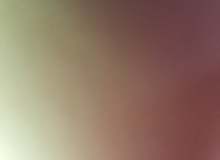 Quiz Image