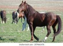 Quiz Image