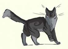Quiz Image